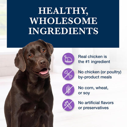Authentic Blue Buffalo Natural Veterinary Diet bag from USA for Indian pet owners