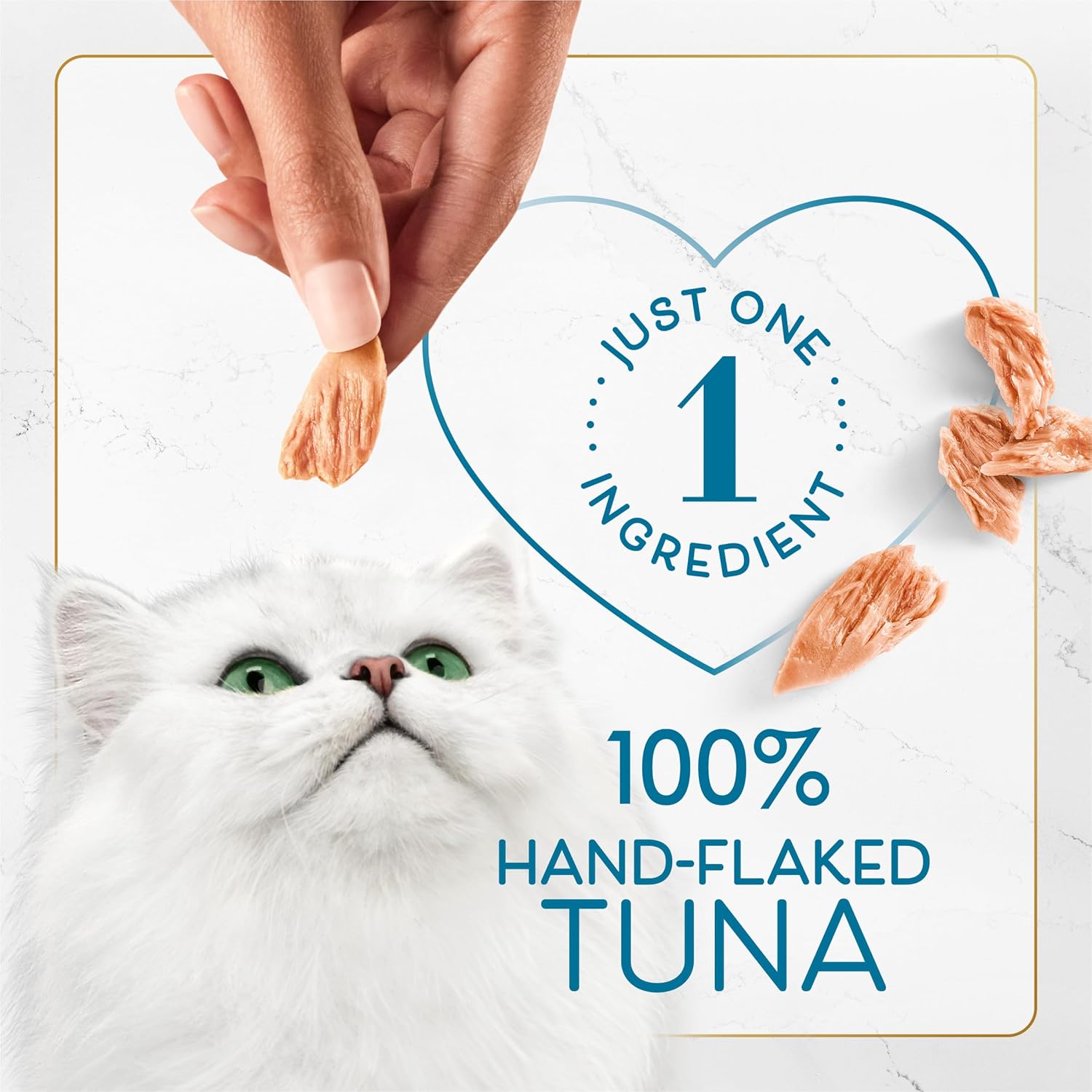 Fancy Feast tuna cat treat packaging showing 10 count box