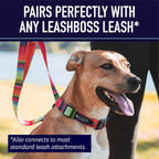 Leash Boss Martingale Collar for Dogs - Steel Chain | Reflective Nylon Dog Collar for Large Dogs, Medium and Small Dogs | No Pull Pet Training Collar Small - Image 9