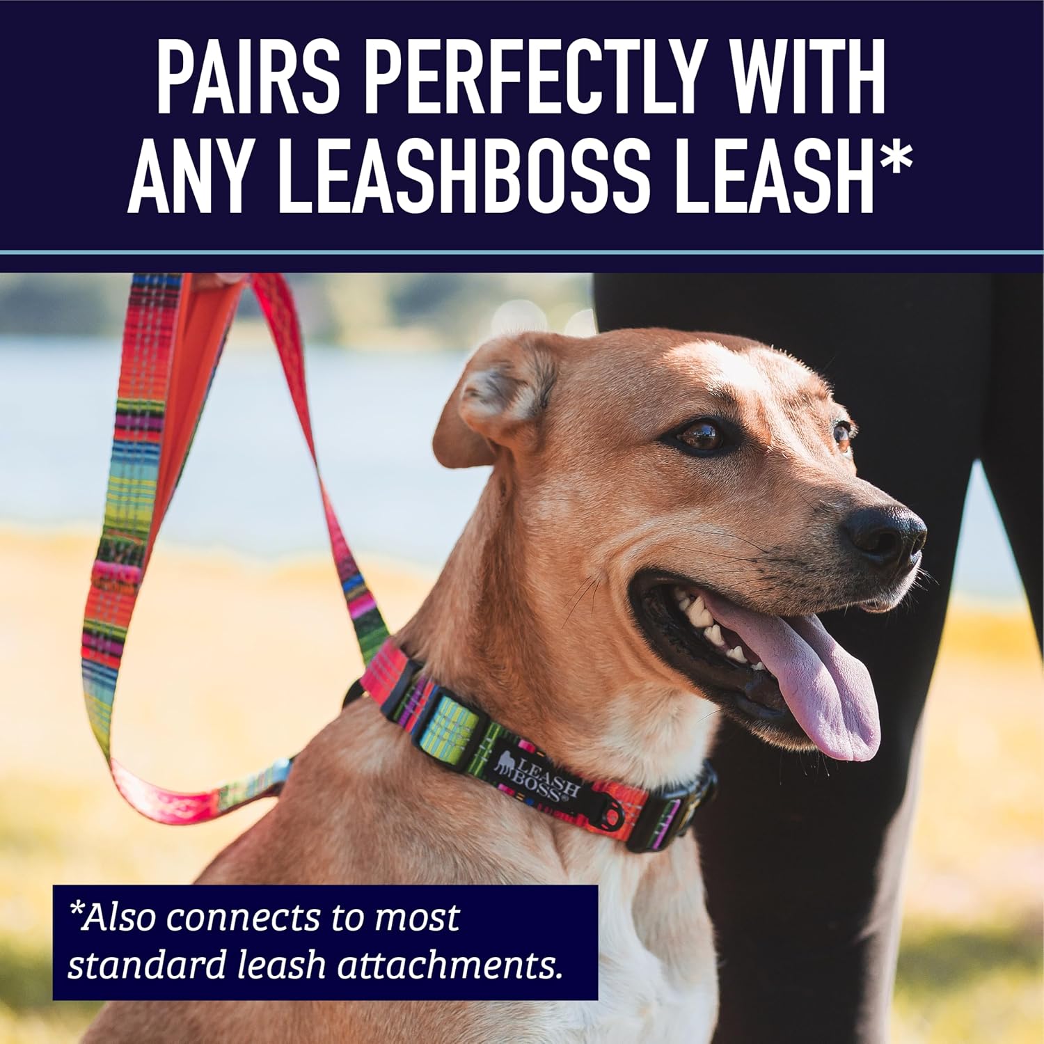 Leash Boss Martingale Collar for Dogs - Steel Chain | Reflective Nylon Dog Collar for Large Dogs, Medium and Small Dogs | No Pull Pet Training Collar Small - Image 9