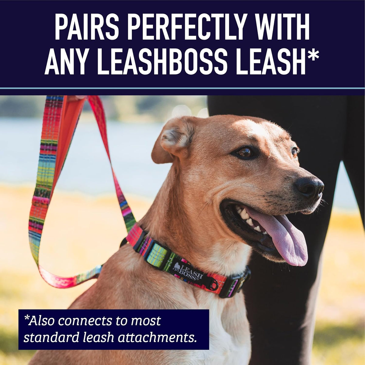 Leash Boss Martingale Collar for Dogs - Steel Chain | Reflective Nylon Dog Collar for Large Dogs, Medium and Small Dogs | No Pull Pet Training Collar Small - Image 9