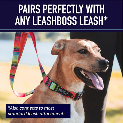 Leash Boss Martingale Collar for Dogs - Steel Chain | Reflective Nylon Dog Collar for Large Dogs, Medium and Small Dogs | No Pull Pet Training Collar Small - Image 9