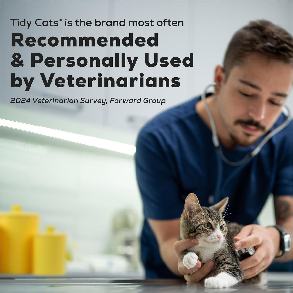 Premium imported cat litter box for sale in India