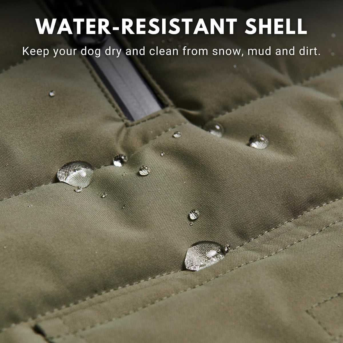 Spark Paws water resistant pet jacket showing double breasted front button closure detail