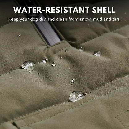Spark Paws water resistant pet jacket showing double breasted front button closure detail