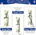 Mihachi cat harness set displayed with included leash