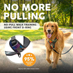 Embark Pets medium dog harness reflective safety trim