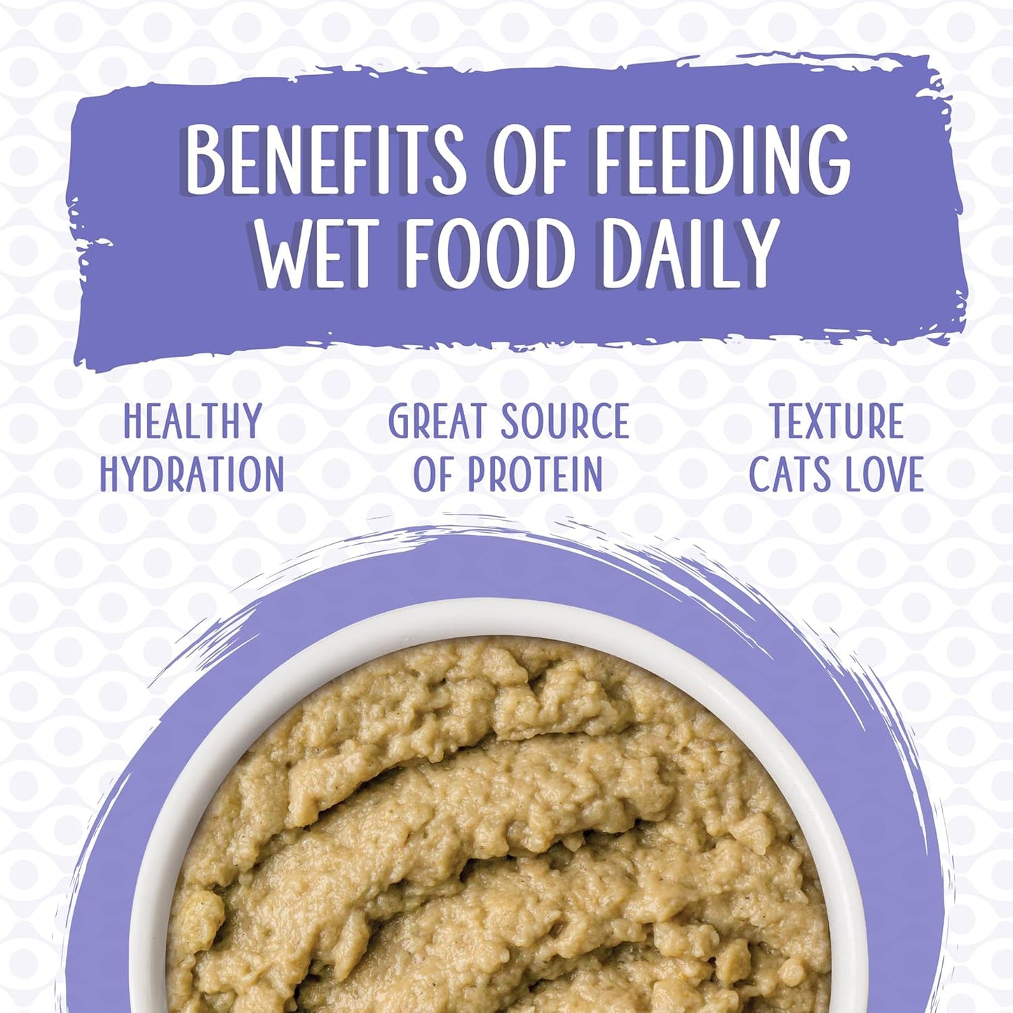 Weruva premium imported cat food variety pack collection