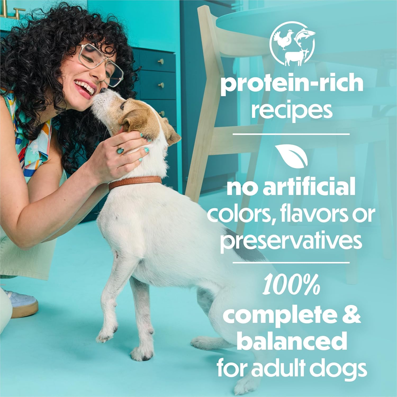 Premium USA imported Beneful small dog food variety pack showing ingredients like real meat and vegetables.