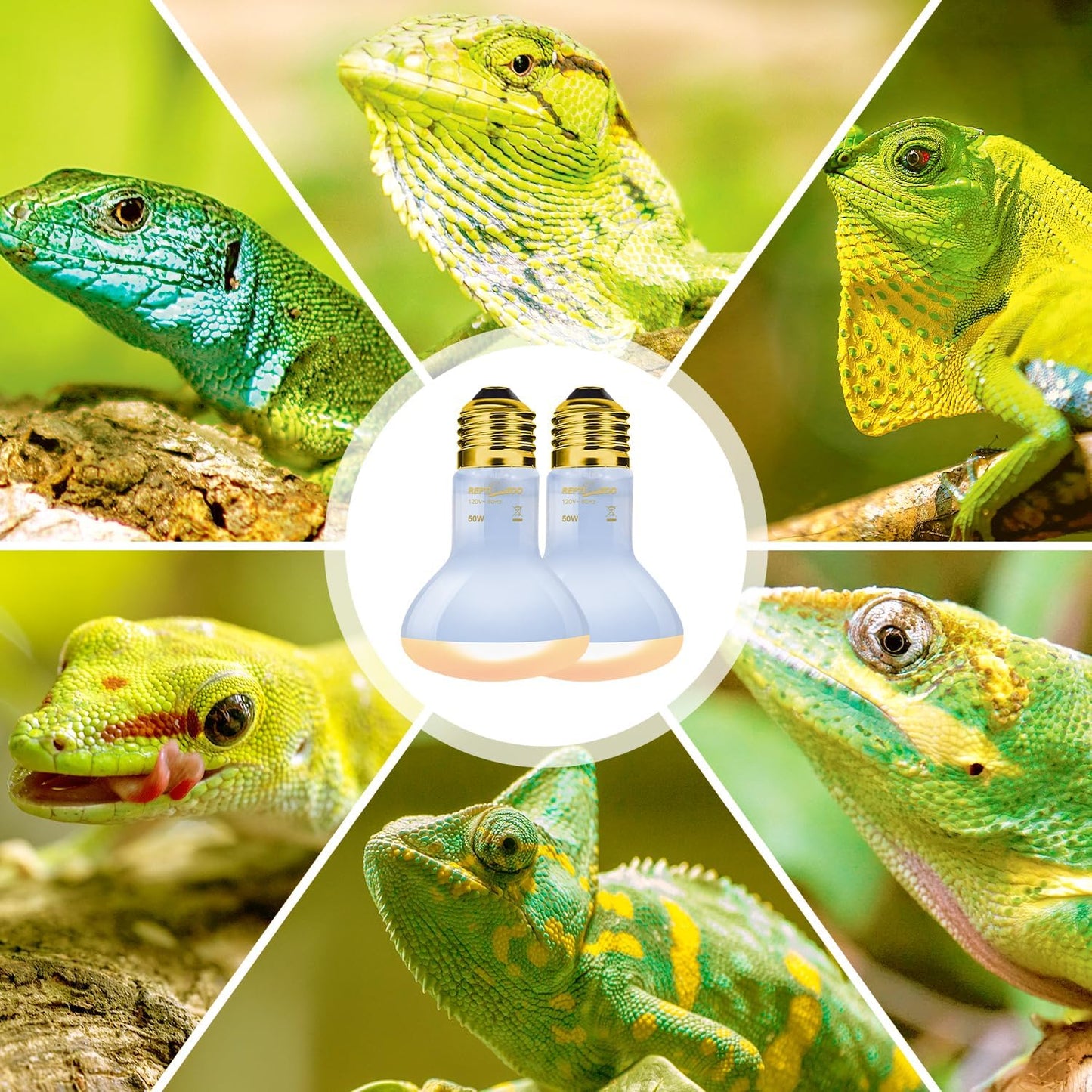 REPTI ZOO Reptile Heat Lamp, 2 Pack 50W Daylight Basking Spot Lamp for Reptiles UVA Daylight Heating Lamp Bulb Basking Light for Bearded Dragon, Tortoise, Geckos, Chicken - Image 9