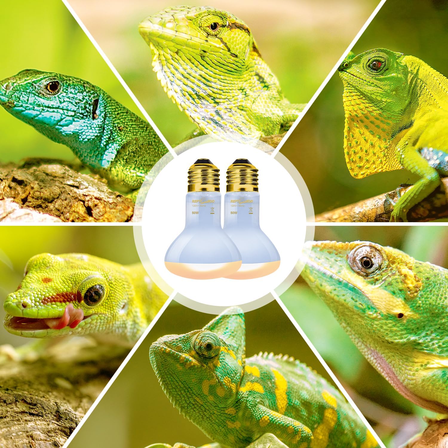 REPTI ZOO Reptile Heat Lamp, 2 Pack 50W Daylight Basking Spot Lamp for Reptiles UVA Daylight Heating Lamp Bulb Basking Light for Bearded Dragon, Tortoise, Geckos, Chicken - Image 9