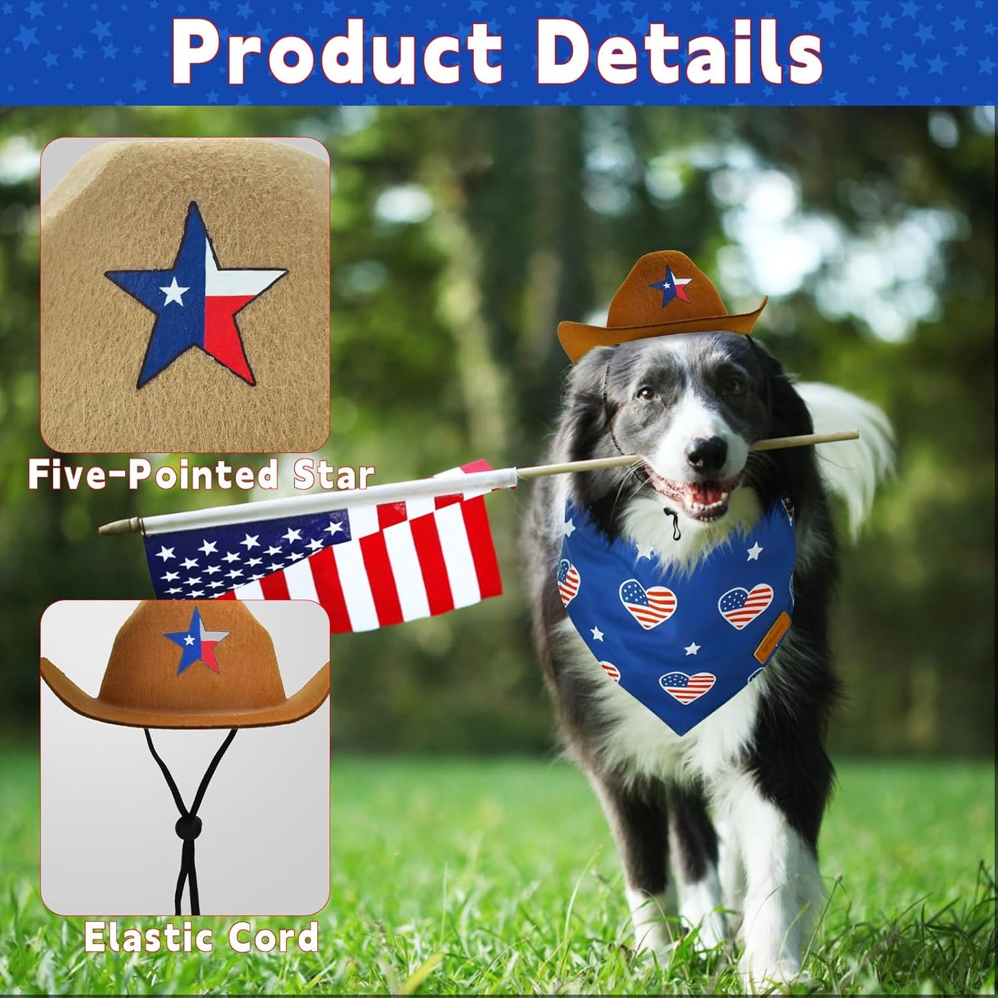 Detailed view of Vehomy dog cowboy hat with pentacle star decor