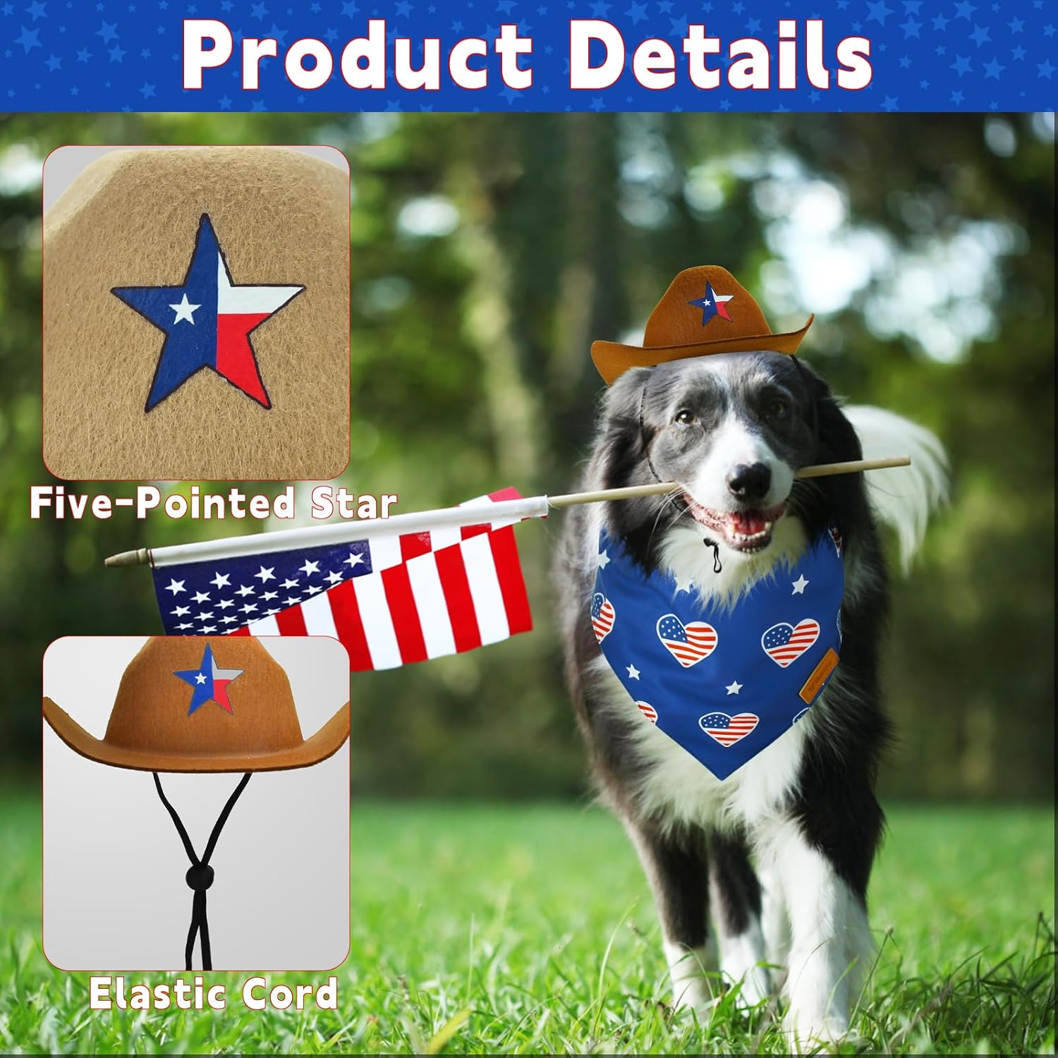 Detailed view of Vehomy dog cowboy hat with pentacle star decor