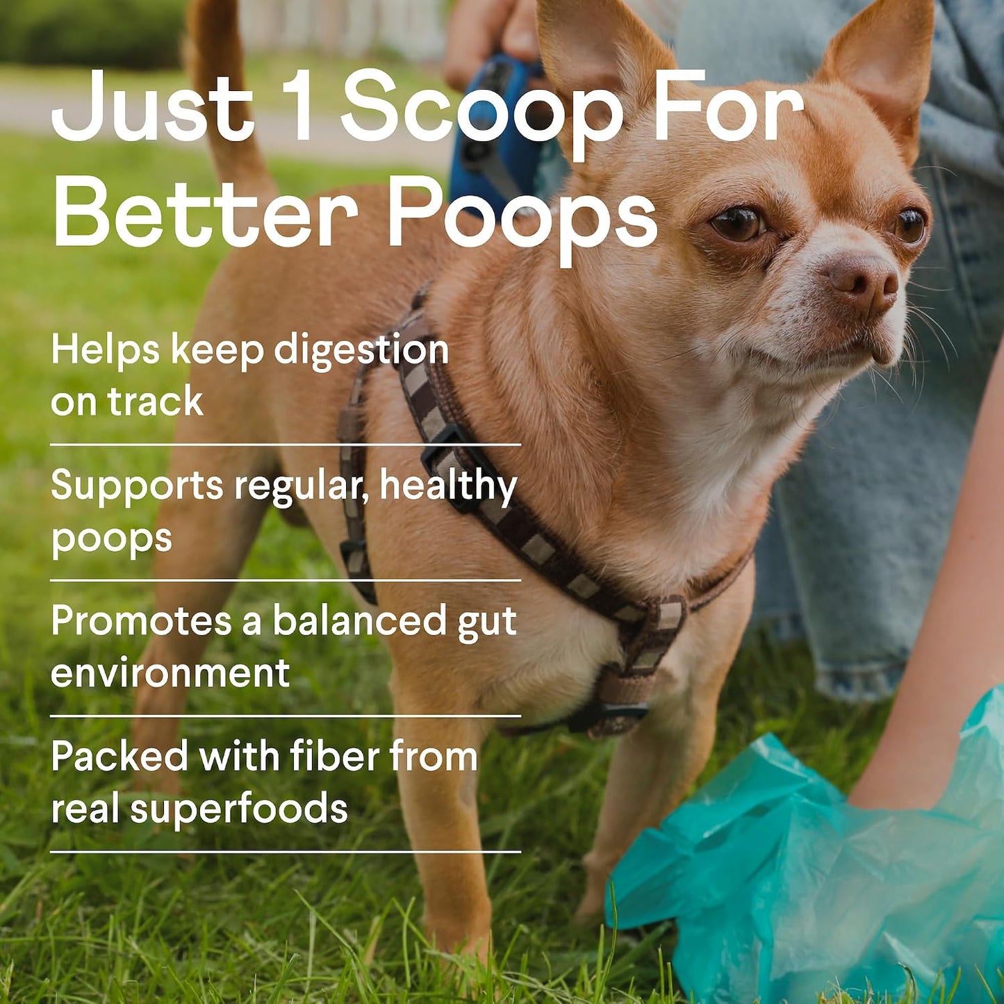 Finn Pumpkin Plus dog supplement powder nutritional information label