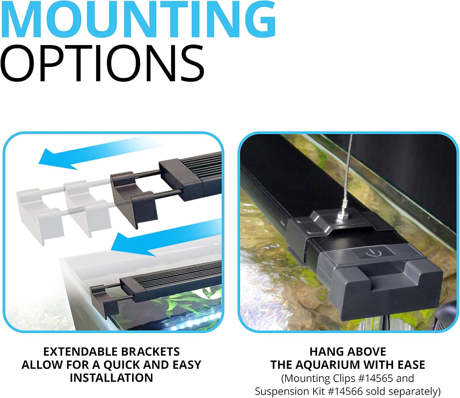 Aquarium tank illuminated by Fluval Aquasky 2.0 white light