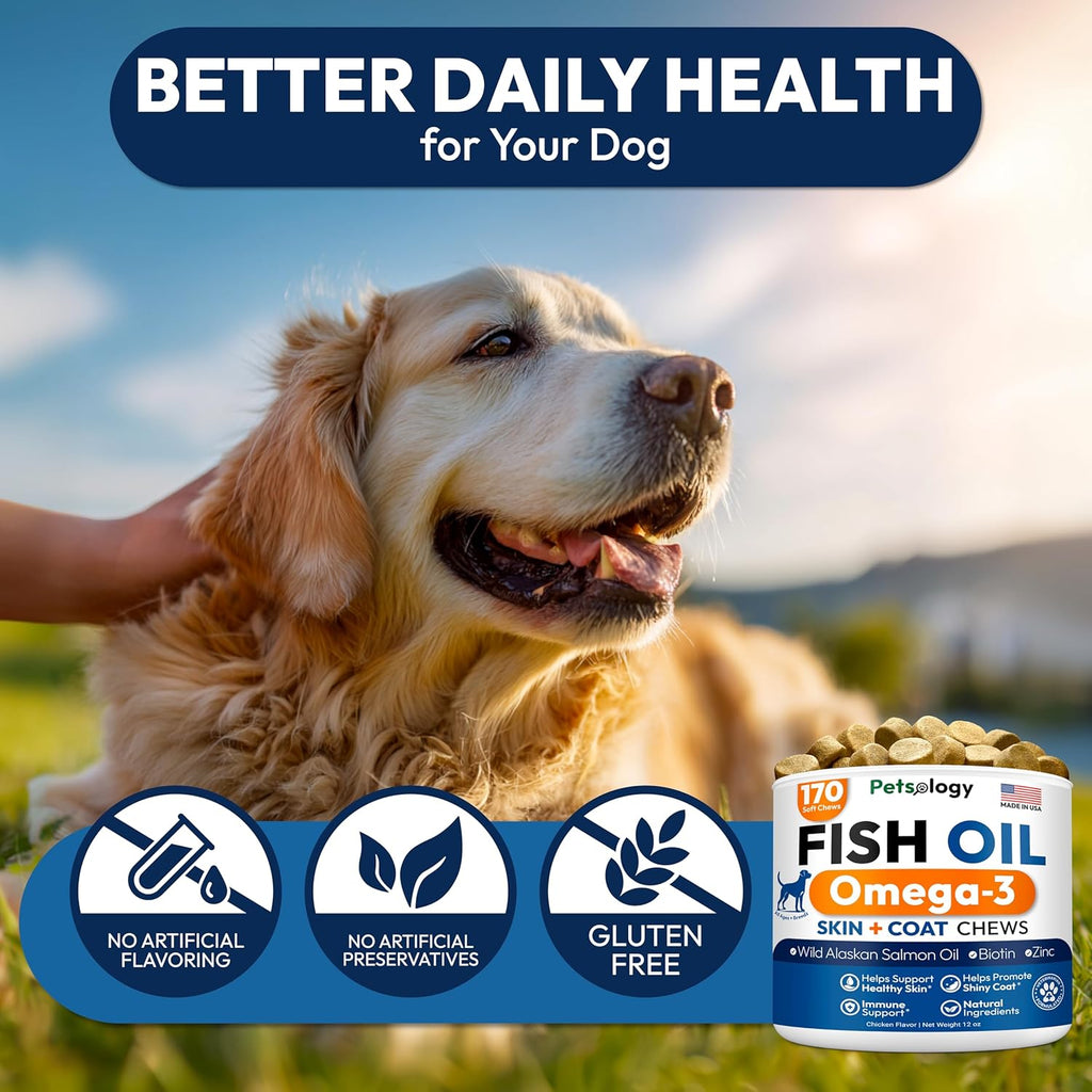 Happy golden retriever enjoying a soft chew allergy supplement