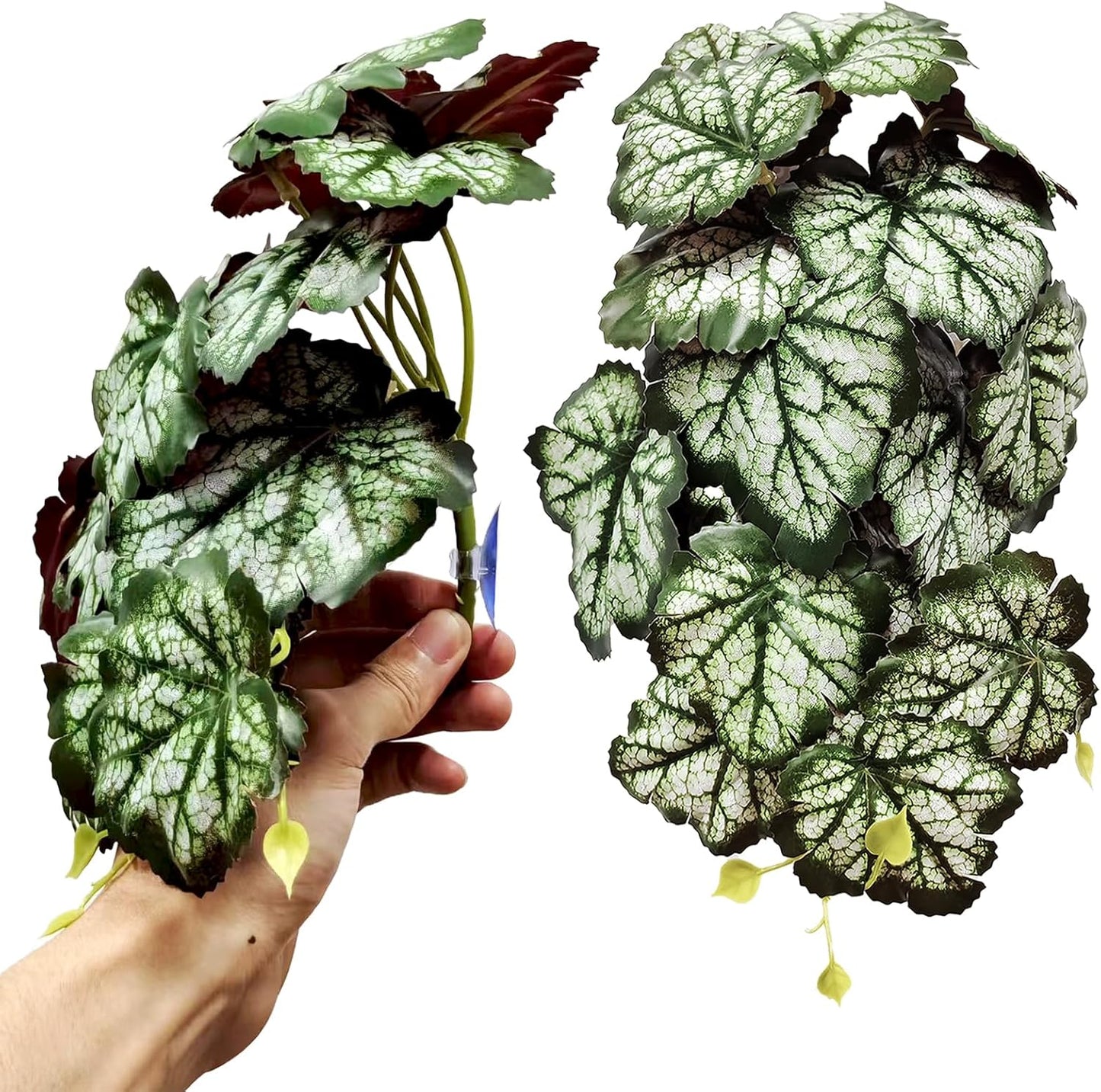 Woyrise Reptile Plants for Terrarium, Artificial Hanging Plants with Suction Cups, Amphibian Tank Habitat Decor Plastic Plant for Bearded Dragons Lizards Snake Geckos Frogs - 2Pack Fake Monstera - Image 11