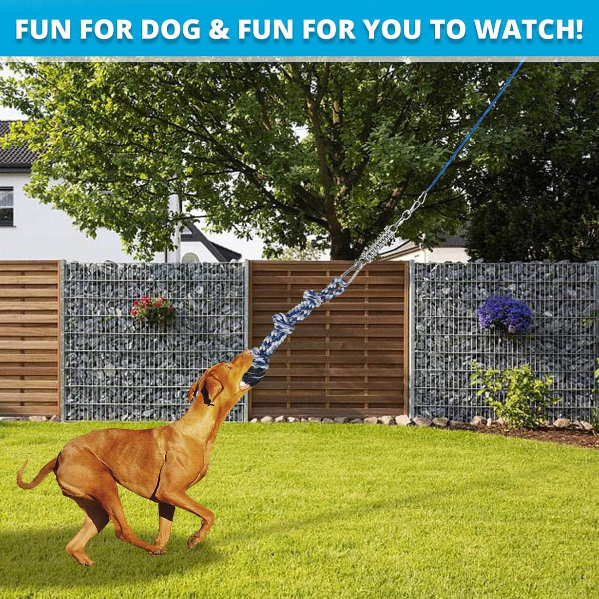 Outdoor dog muscle builder rope toy hanging from a sturdy backyard tree branch