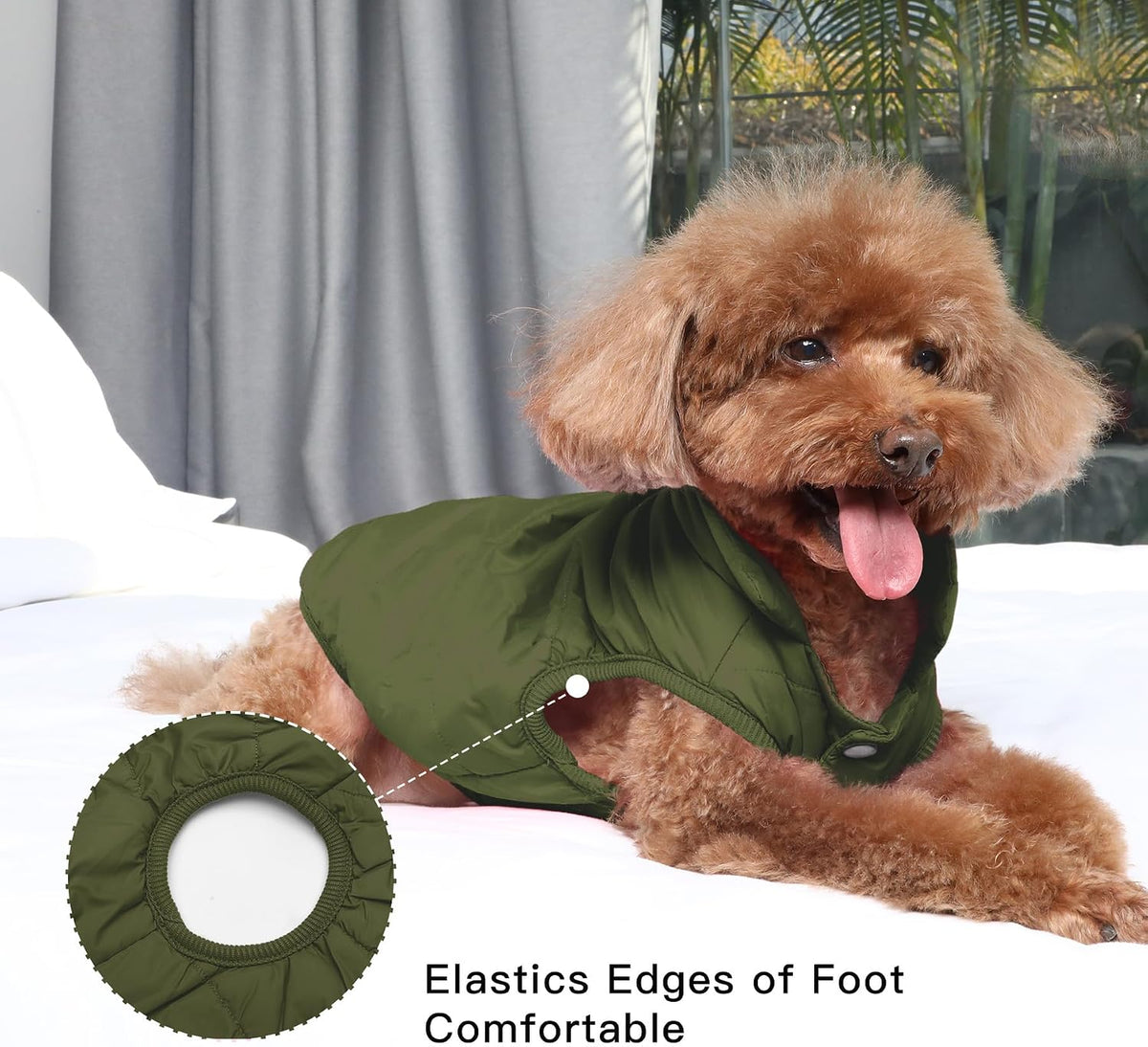 JoyDaog dog jacket medium size green color
