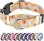 Hikiko Martingale Collar for Dogs Soft Durable Dog Collar for Small Medium Large Boy and Male Dogs No Pull No Slip Safety Buckle Dog Collars (Hill,Medium) - Image 9