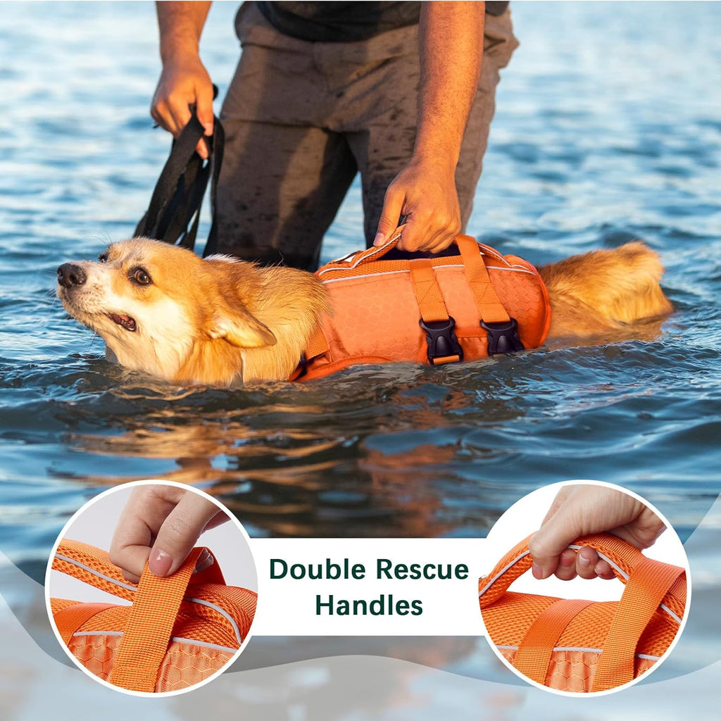 Kuoser durable ripstop dog swimsuit vest on medium breed dog