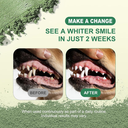 Kiuquty pet breath freshener powder showing natural mint flavor labeling