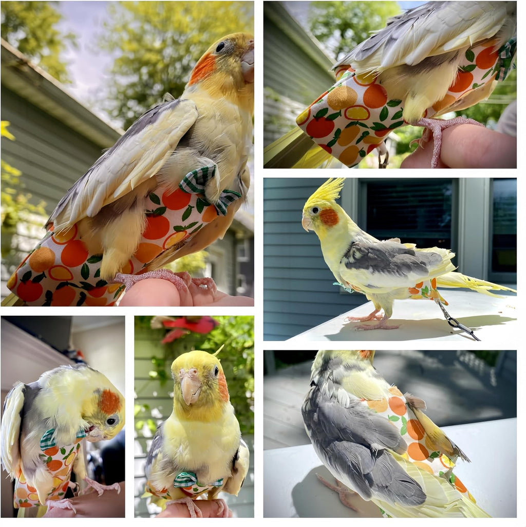 Magnoloran reusable bird diaper packaged set for cockatiels and conures