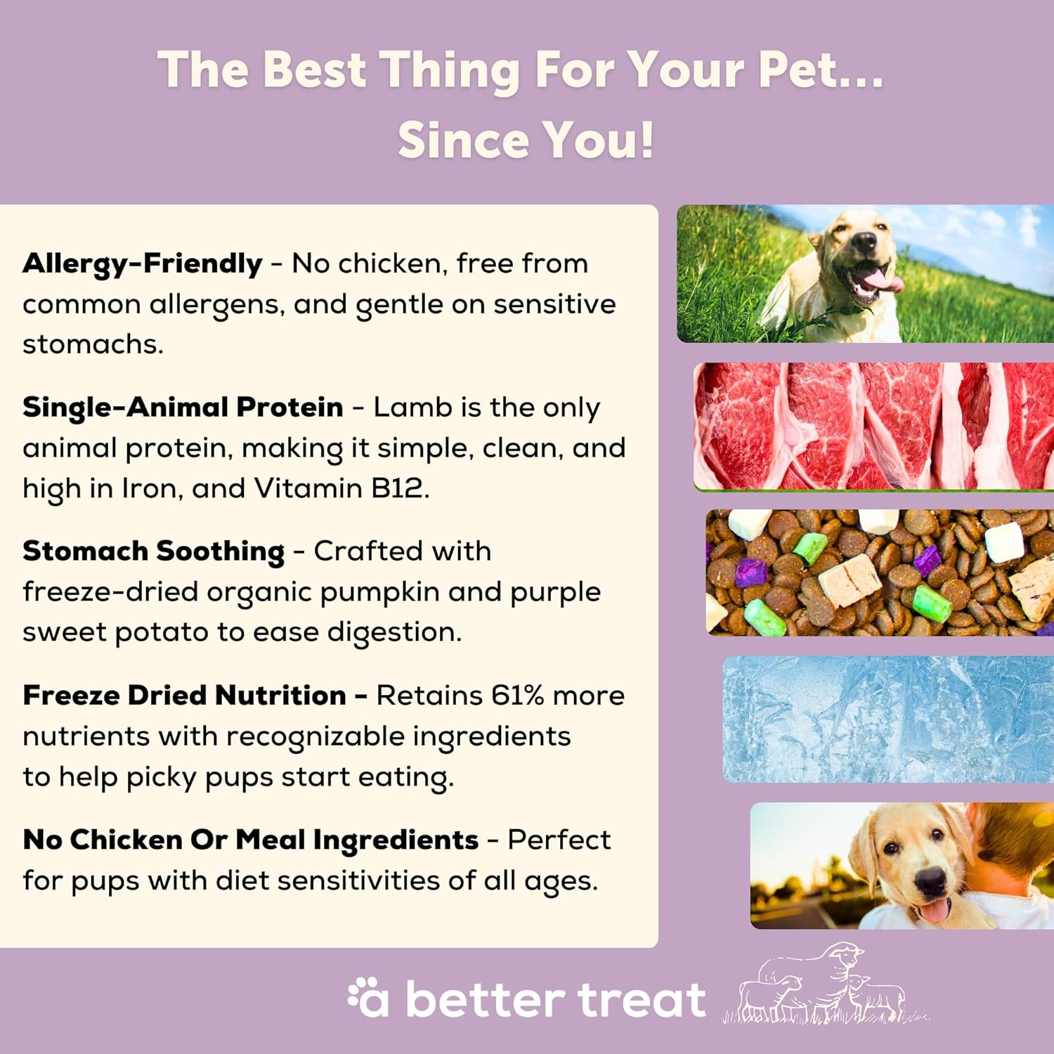 Back of A Better Treat lamb recipe bag with ingredient list
