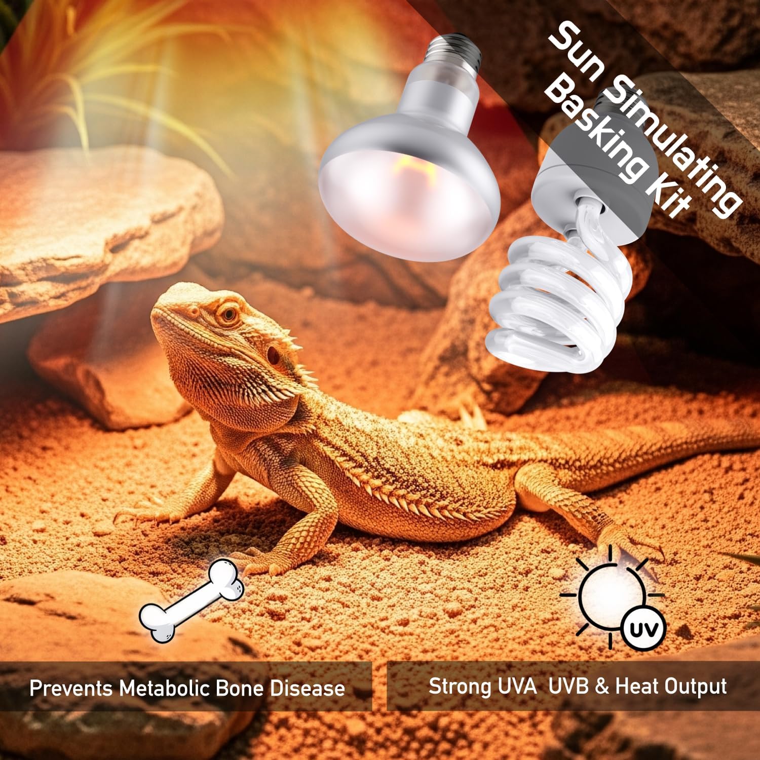 High output twenty four watt ten point zero desert uvb compact fluorescent bulb for reptile health.