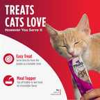 Happy cat enjoying a Nulo lickable treat