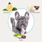 Uproot Clean Cat & Dog Ear Cleaner Finger Wipes (50ct.): Disposable Dog Ear Wipes Enriched with Shea Butter & Jojoba Oil - Cleaner Removing Wax Build Up, Help with Odor Discomfort - Image 9