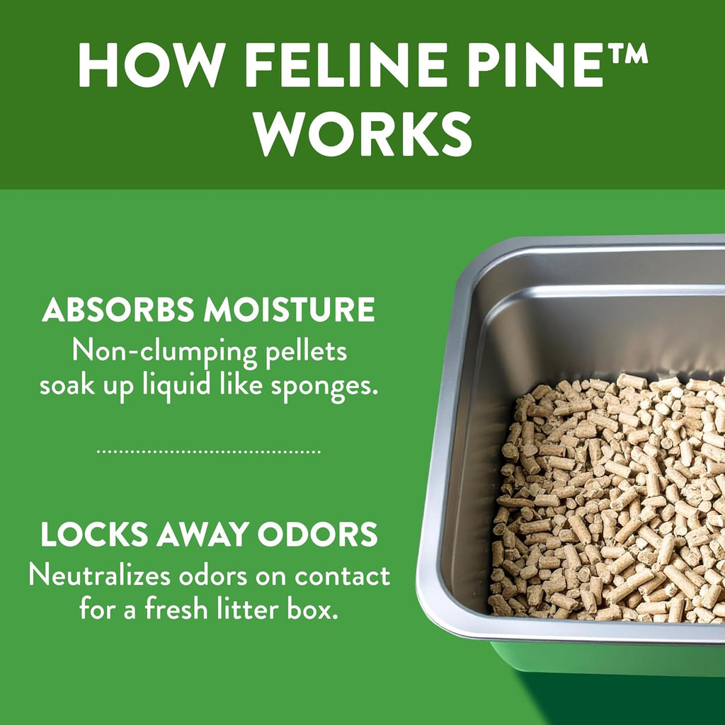 Feline Pine litter pouring into a cat litter box