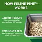 Feline Pine litter pouring into a cat litter box