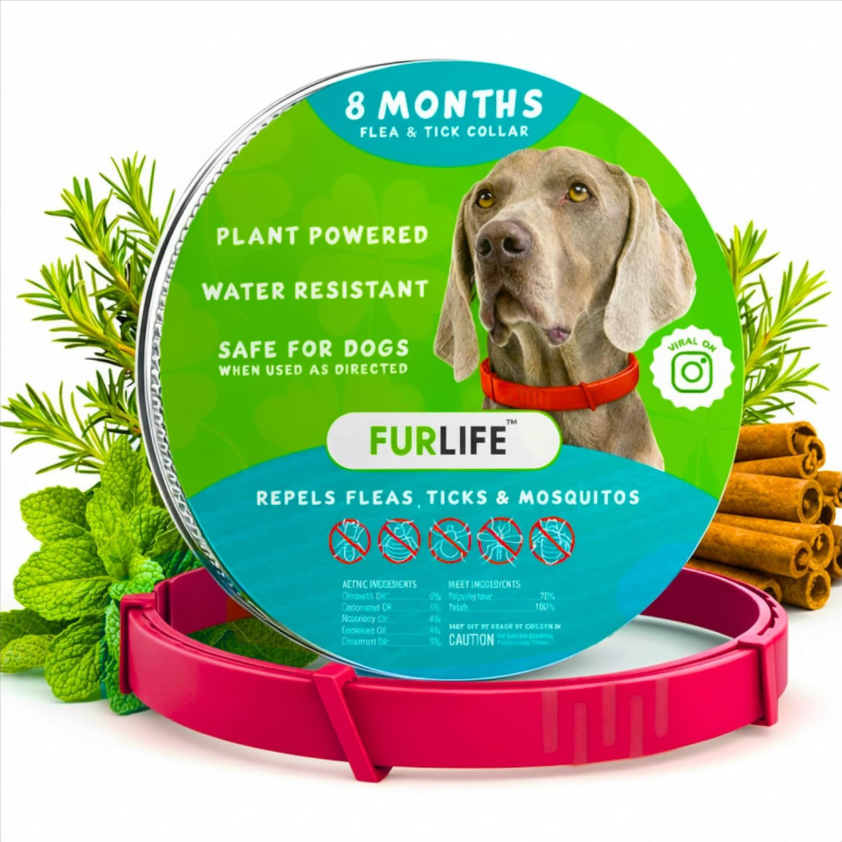 FurLife Flea and Tick Collar for Dogs red front view