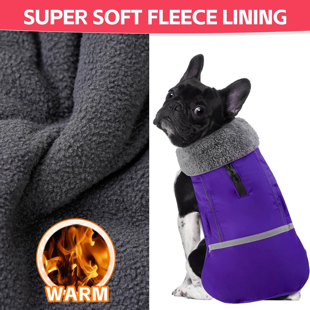 Doglay puppy winter jacket with adjustable straps and buckles