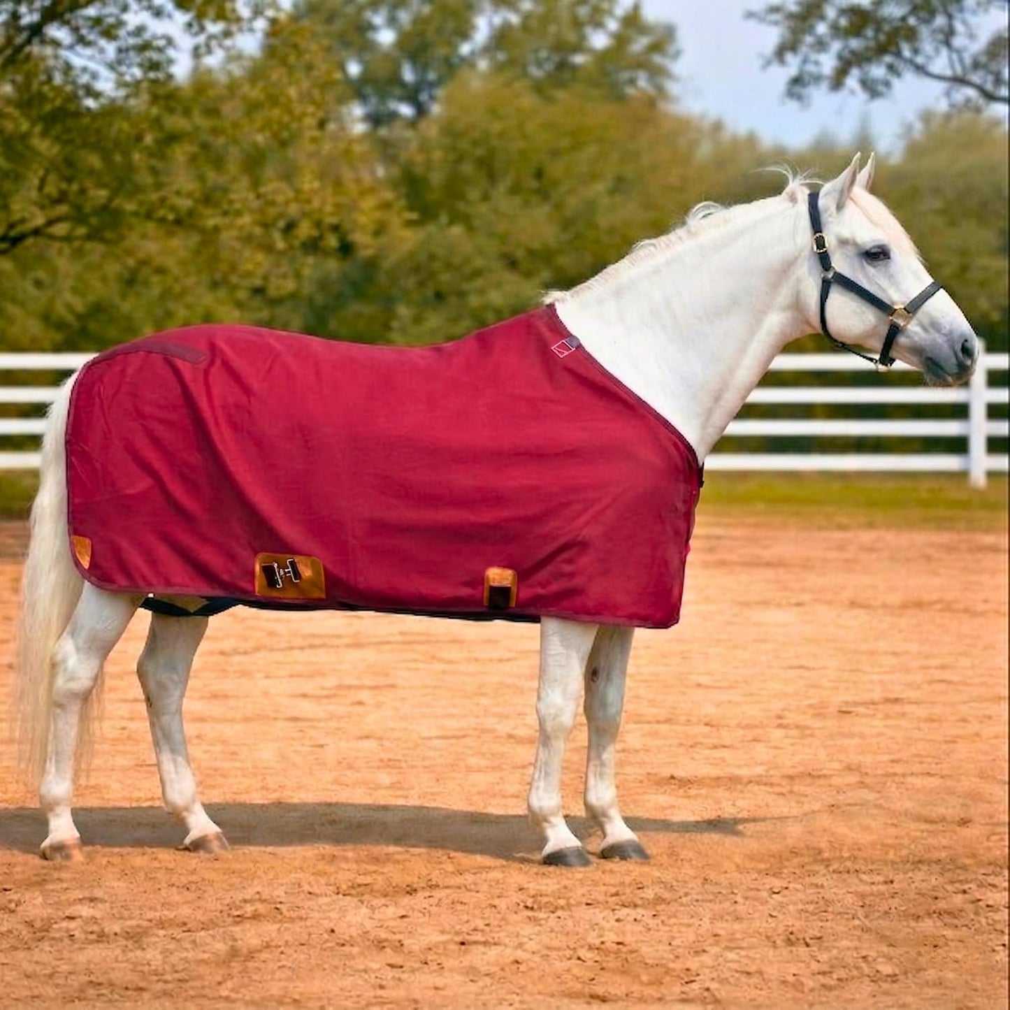 Nylon Horse 420D Stable Sheet | Breathable & Durable Horse Sheet | Keeps Coat Clean, Smooth & Shiny | Adjustable Fit Summer Sheet (60"- 86" Sizes) - Image 11