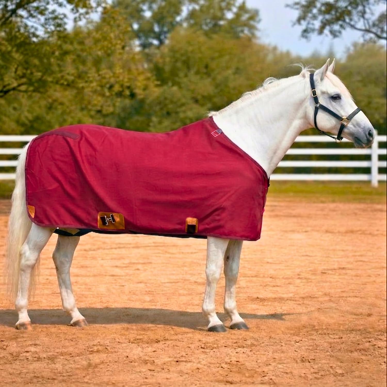 Nylon Horse 420D Stable Sheet | Breathable & Durable Horse Sheet | Keeps Coat Clean, Smooth & Shiny | Adjustable Fit Summer Sheet (60"- 86" Sizes) - Image 11