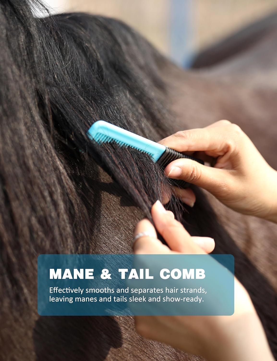 Shinewell horse grooming kit sweat scraper and hoof pick detail