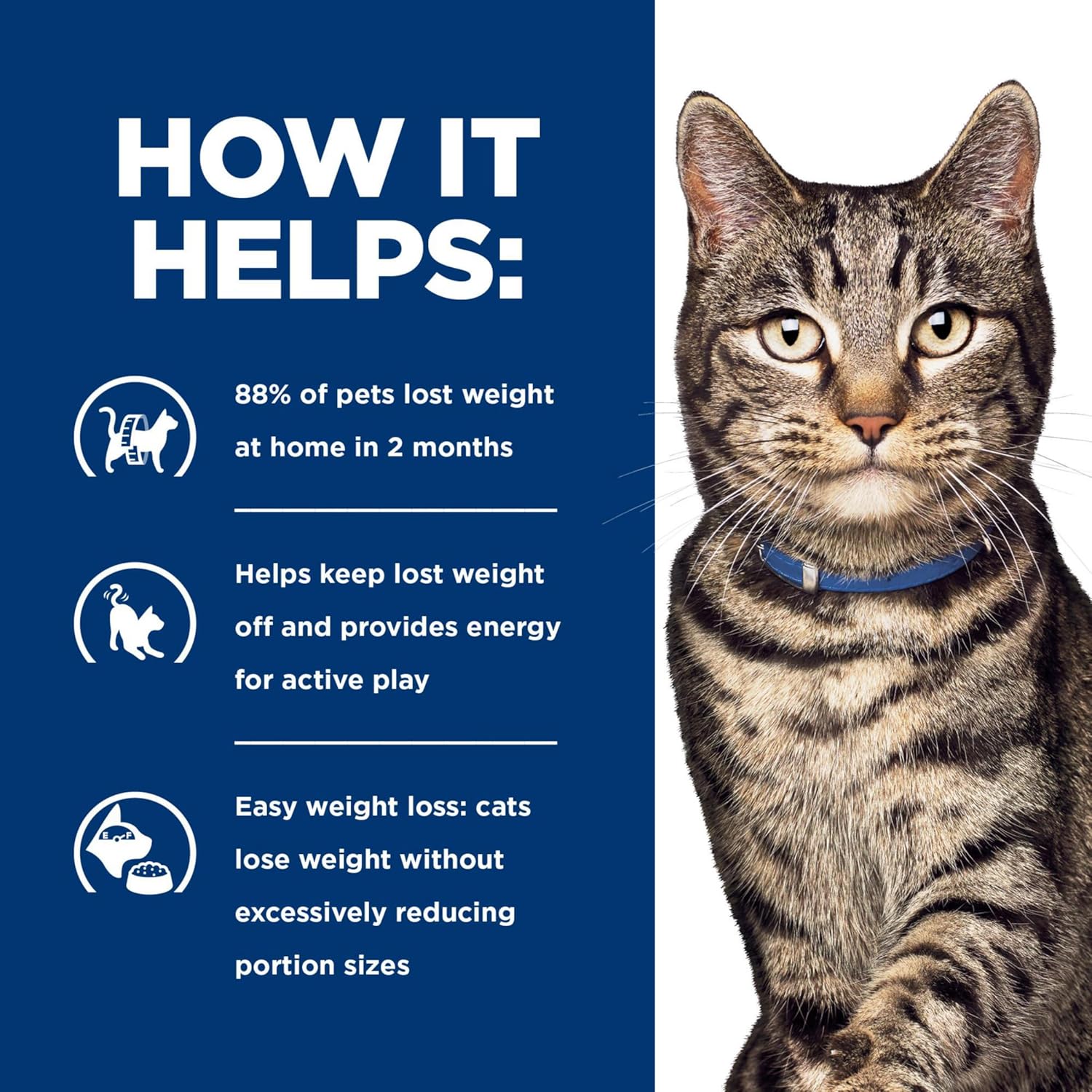 Full multipack presentation of Hill's prescription diet feline metabolic 24 cans.