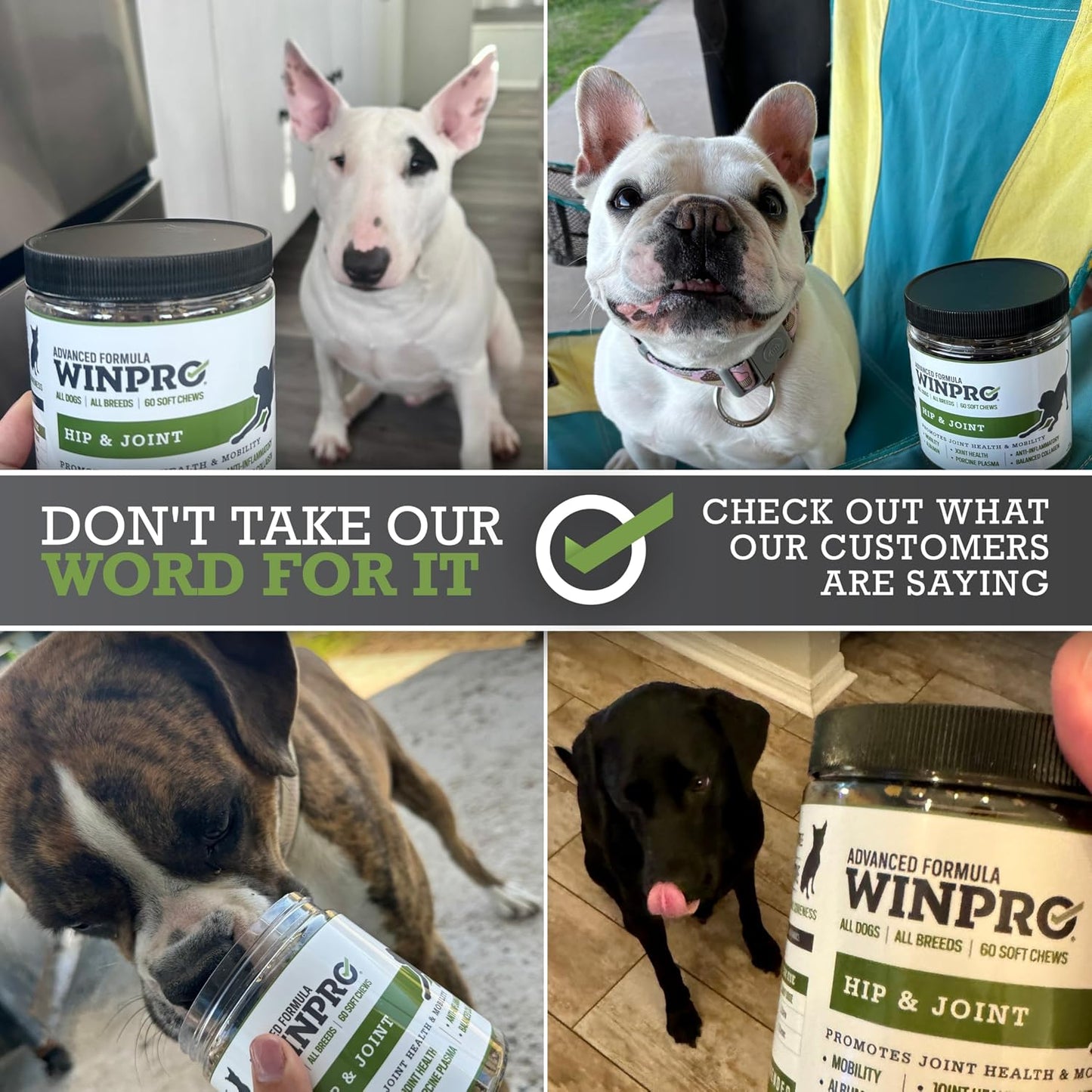 Bacon and hickory flavored dog joint supplement chews texture detail