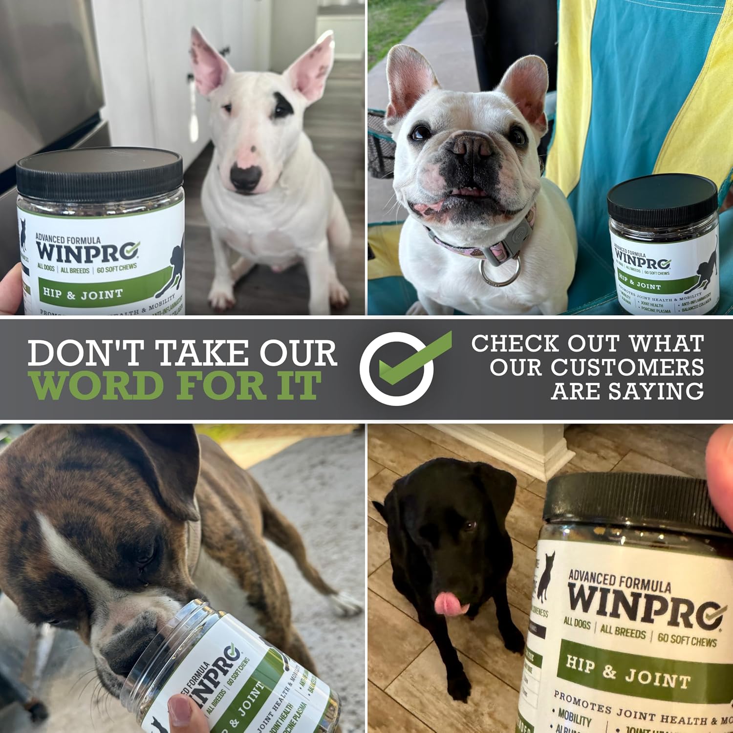 Bacon and hickory flavored dog joint supplement chews texture detail