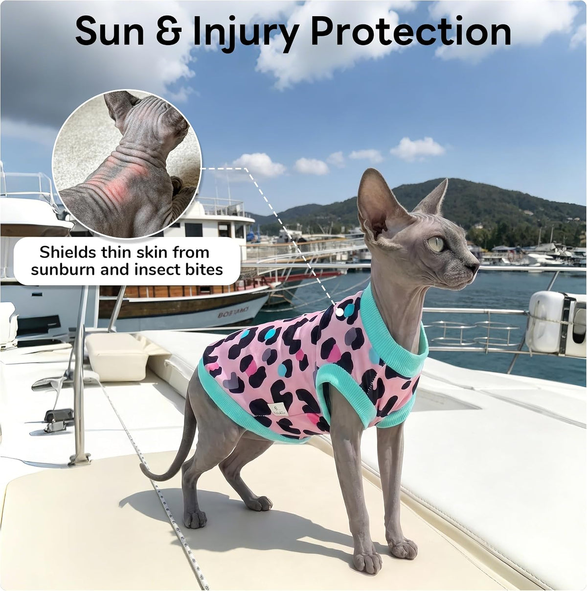 Side view of Sphynx cat wearing pink stretchy turtleneck sweater