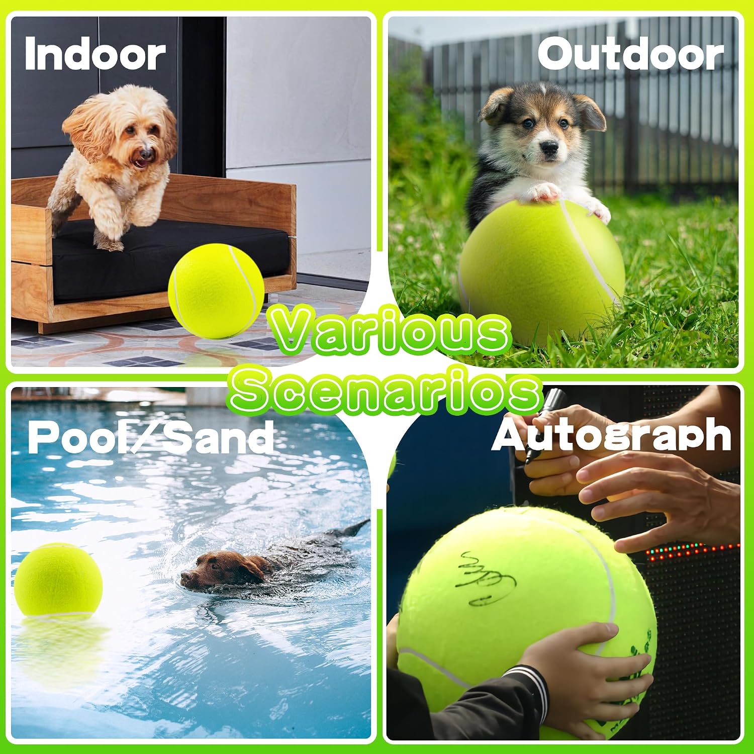 Durable rubber and felt giant dog toy