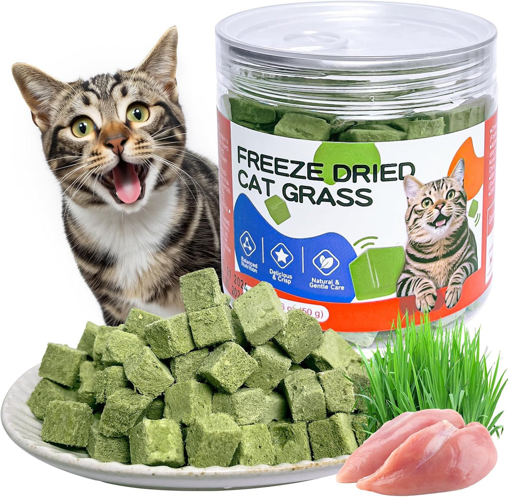 ZHSteveG freeze dried cat grass treats jar front view for digestive health