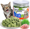 ZHSteveG freeze dried cat grass treats jar front view for digestive health