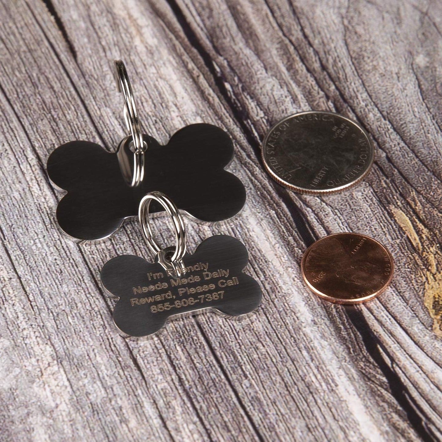 PetANTastic personalized bone shaped dog tag attached to a collar.