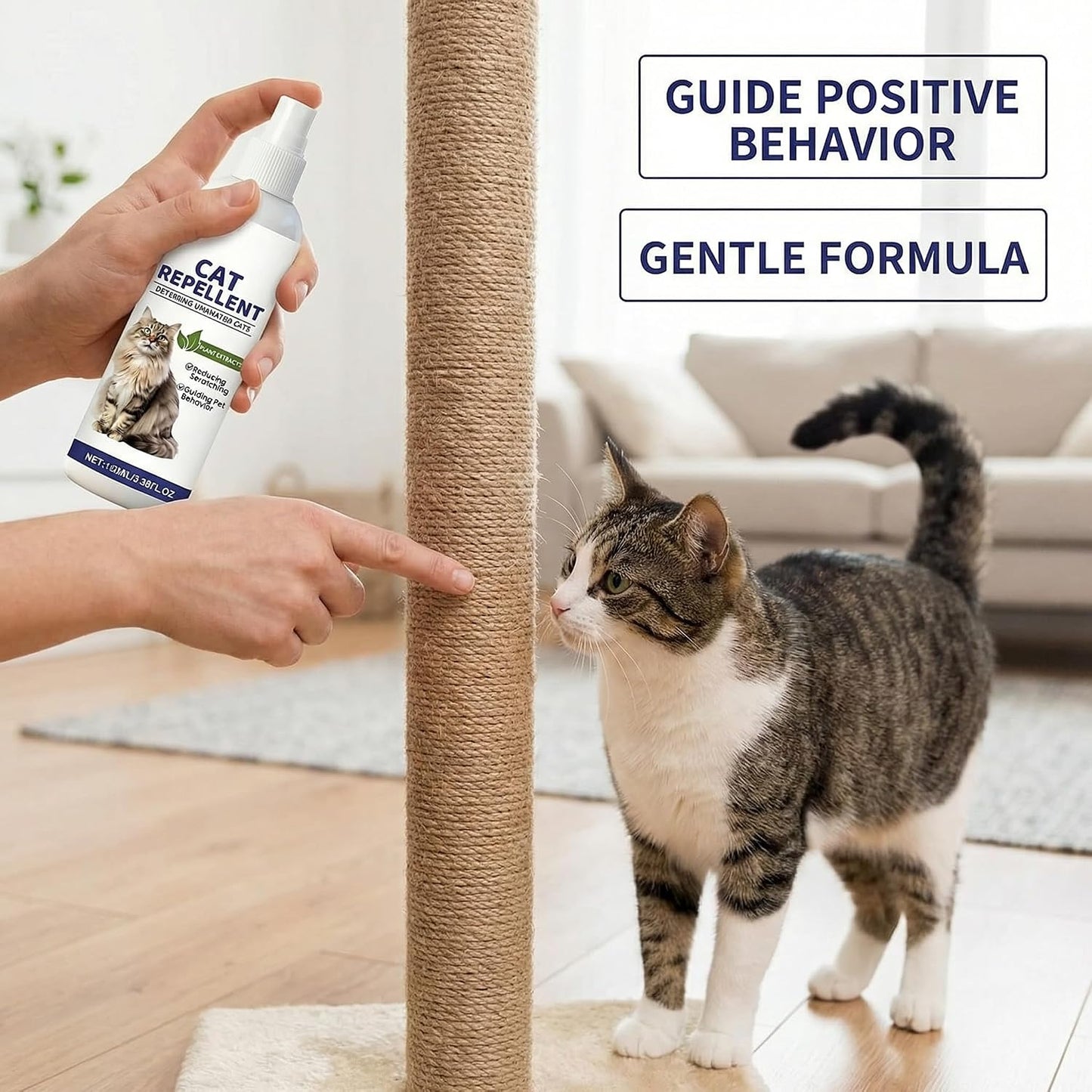 Safe behavior training aid for cats and kittens