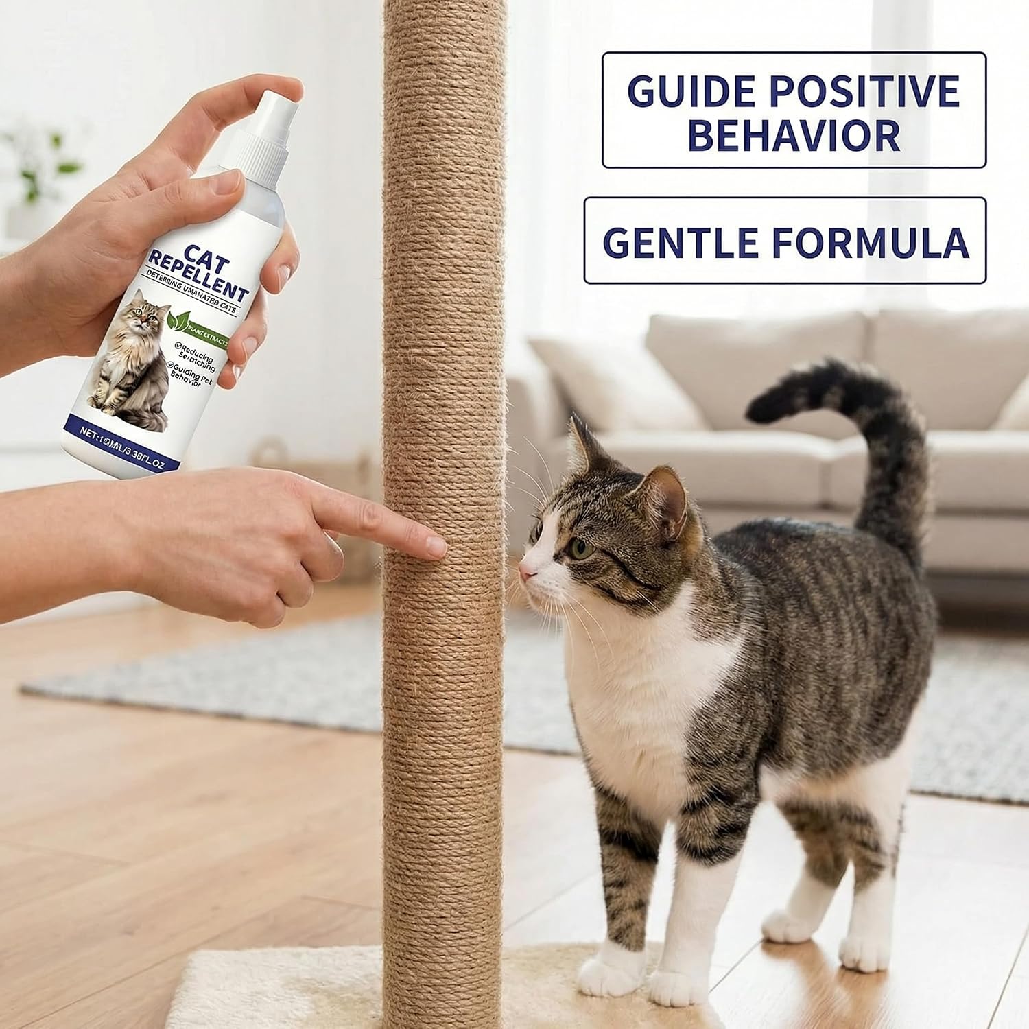 Safe behavior training aid for cats and kittens