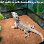 Packaging view of ZeeDix 12 by 12 inch reptile carpet set