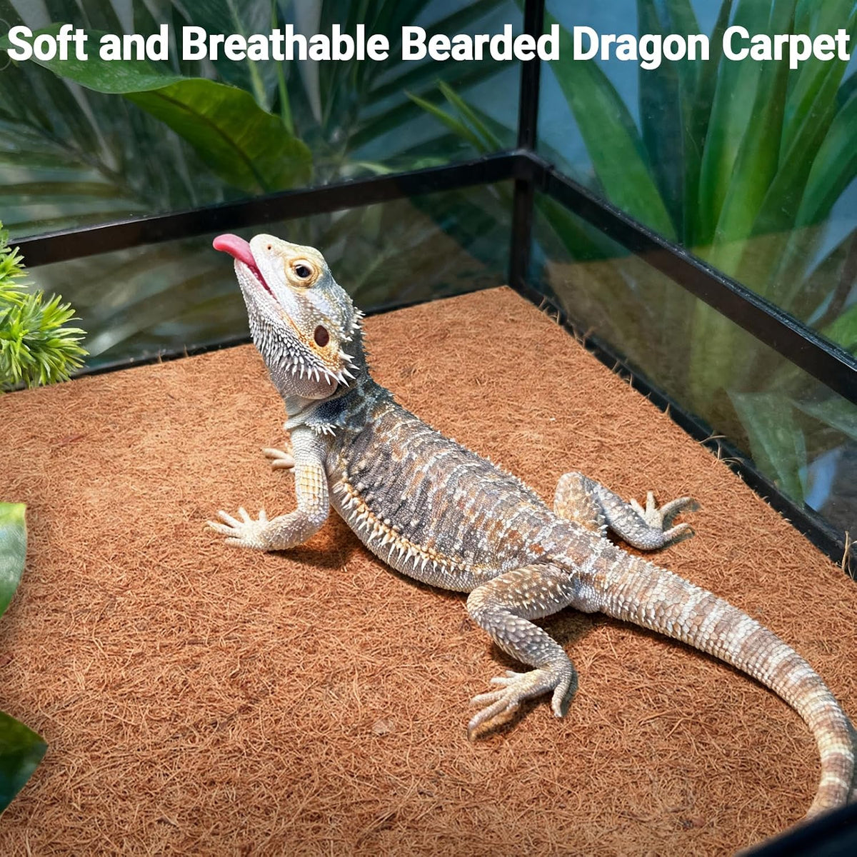 Packaging view of ZeeDix 12 by 12 inch reptile carpet set
